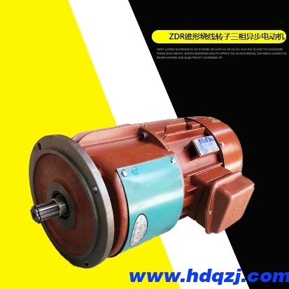 ZDR型滑環電機 ZDR型滑環電機